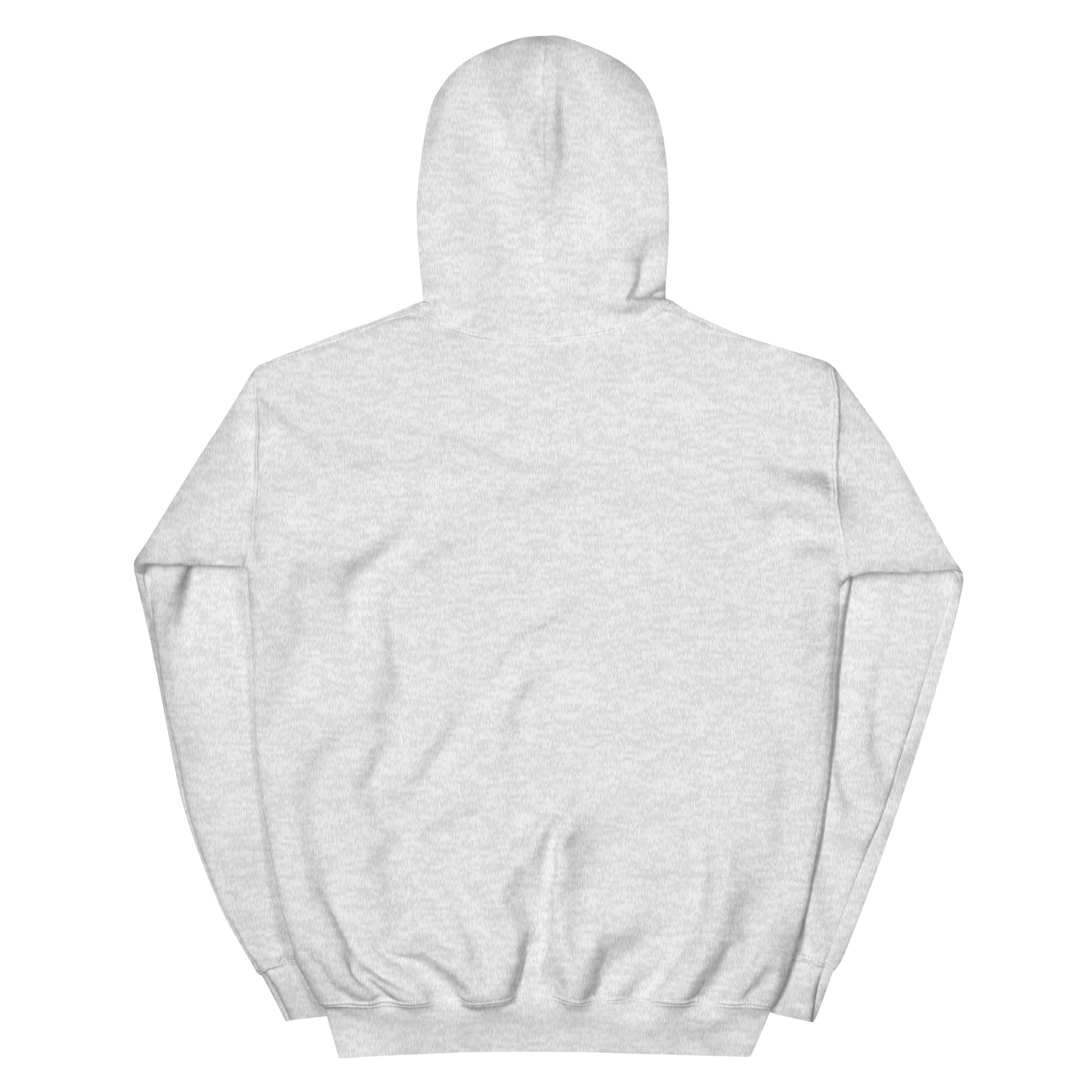No Jay Walking OSA Unisex Hoodie - Image 30