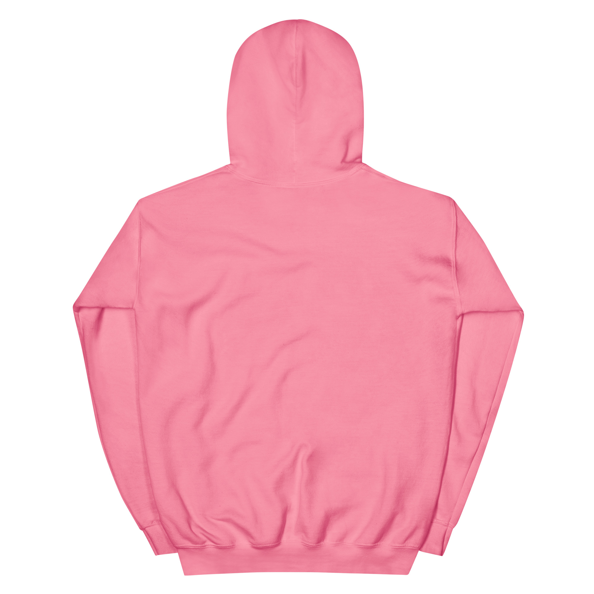No Jay Walking OSA Unisex Hoodie - Image 24