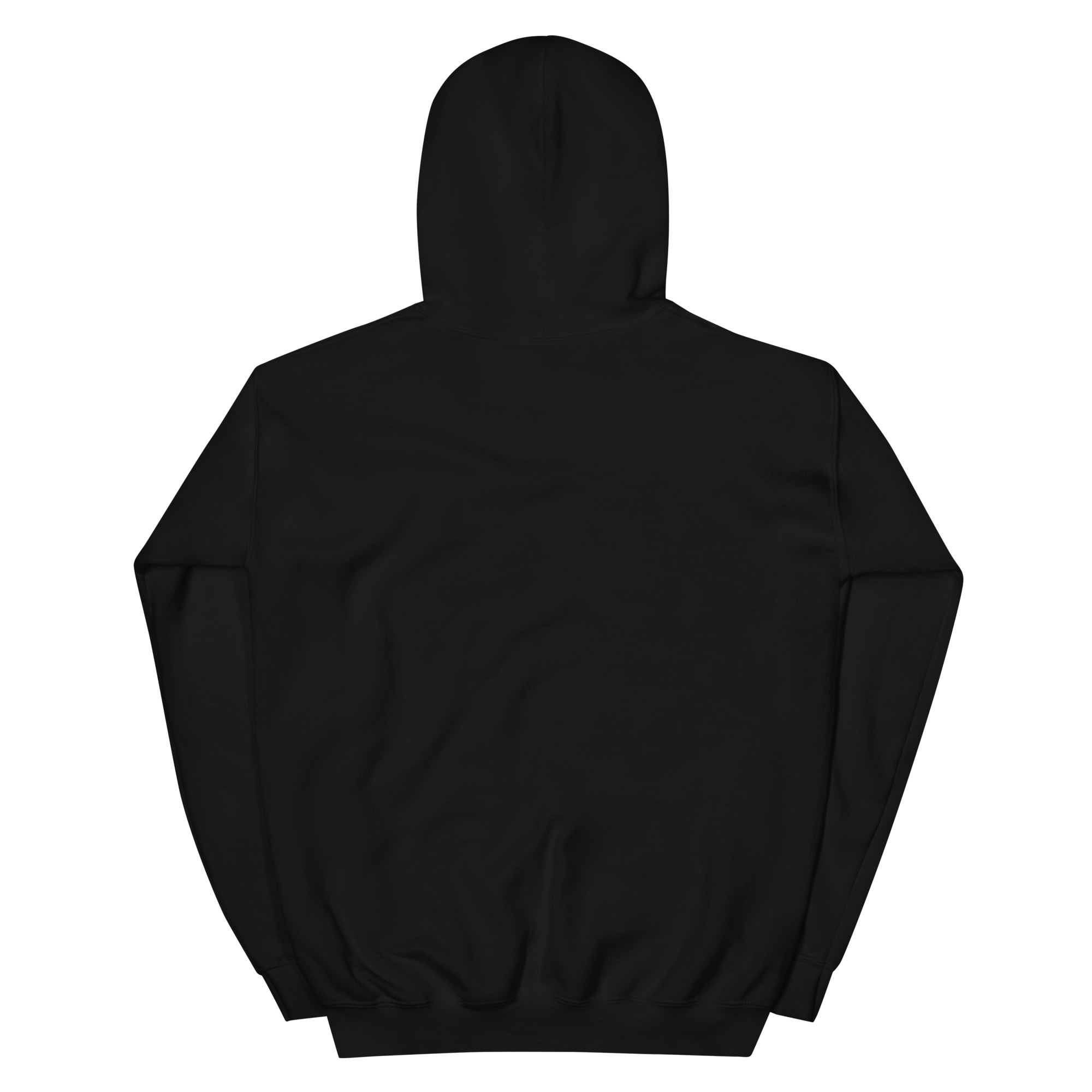 No Jay Walking OSA Unisex Hoodie - Image 2