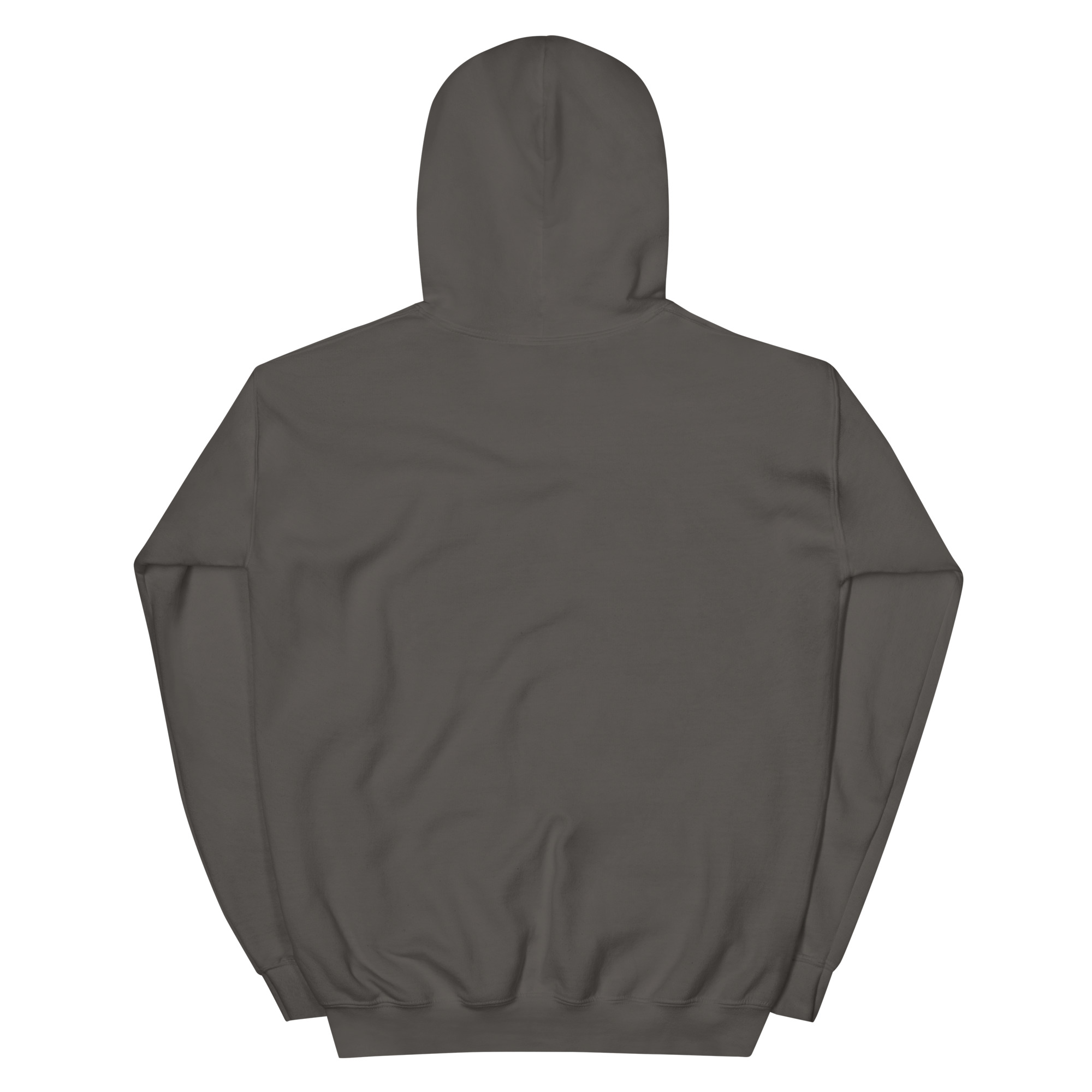 No Jay Walking OSA Unisex Hoodie - Image 16