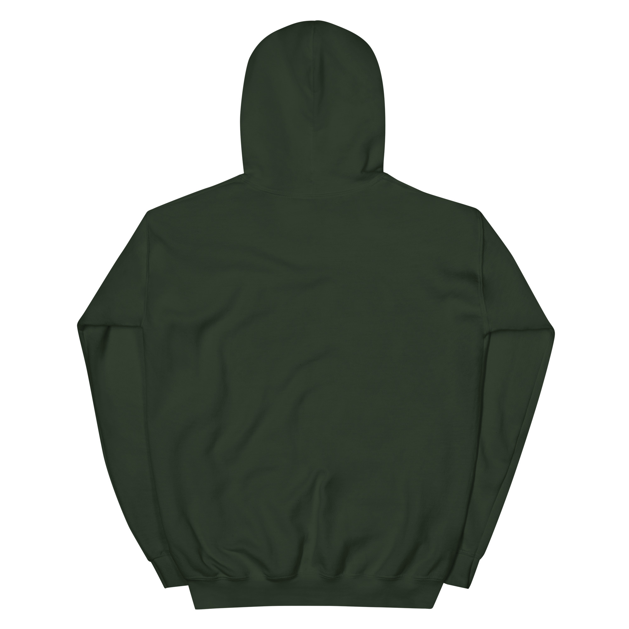 No Jay Walking OSA Unisex Hoodie - Image 8