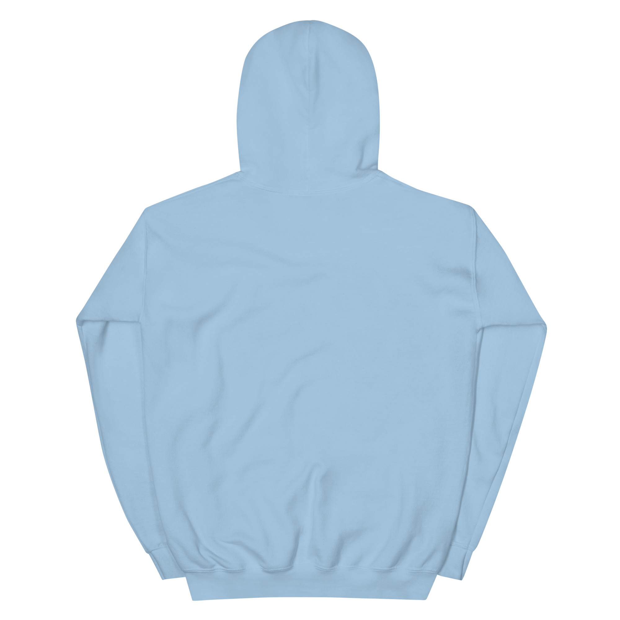 No Jay Walking OSA Unisex Hoodie - Image 26