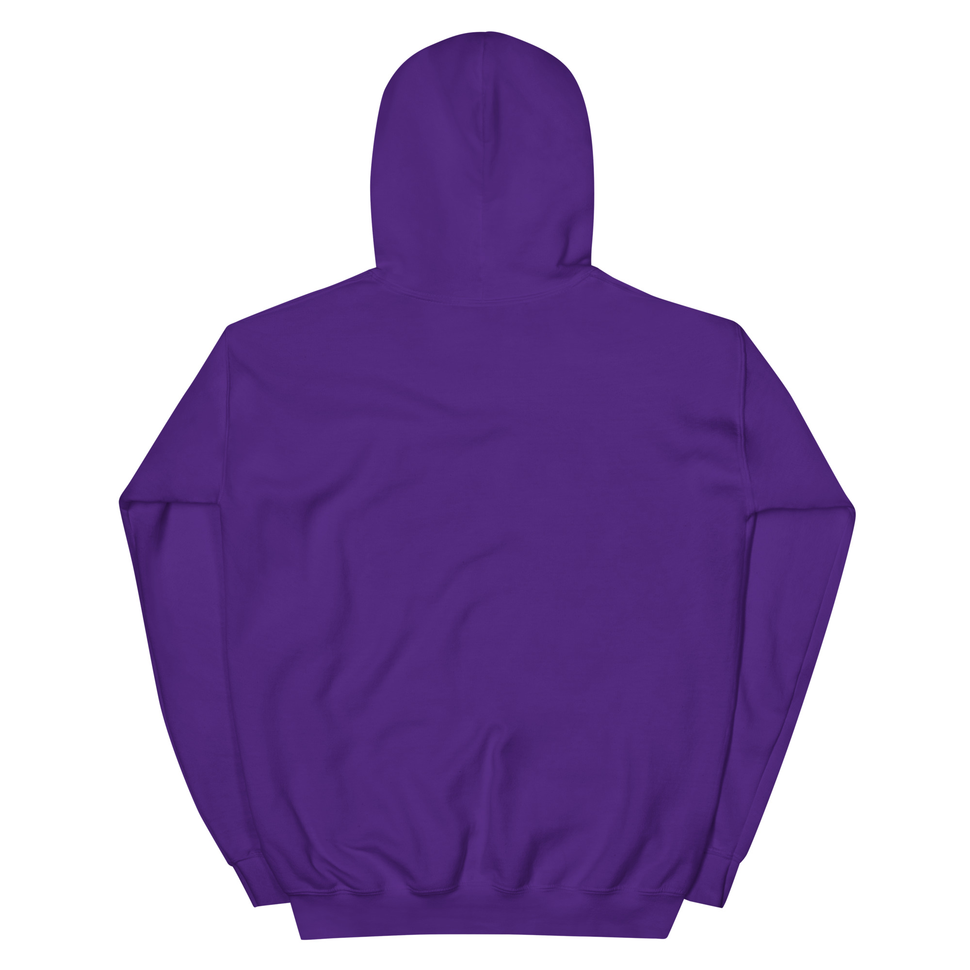 No Jay Walking OSA Unisex Hoodie - Image 10