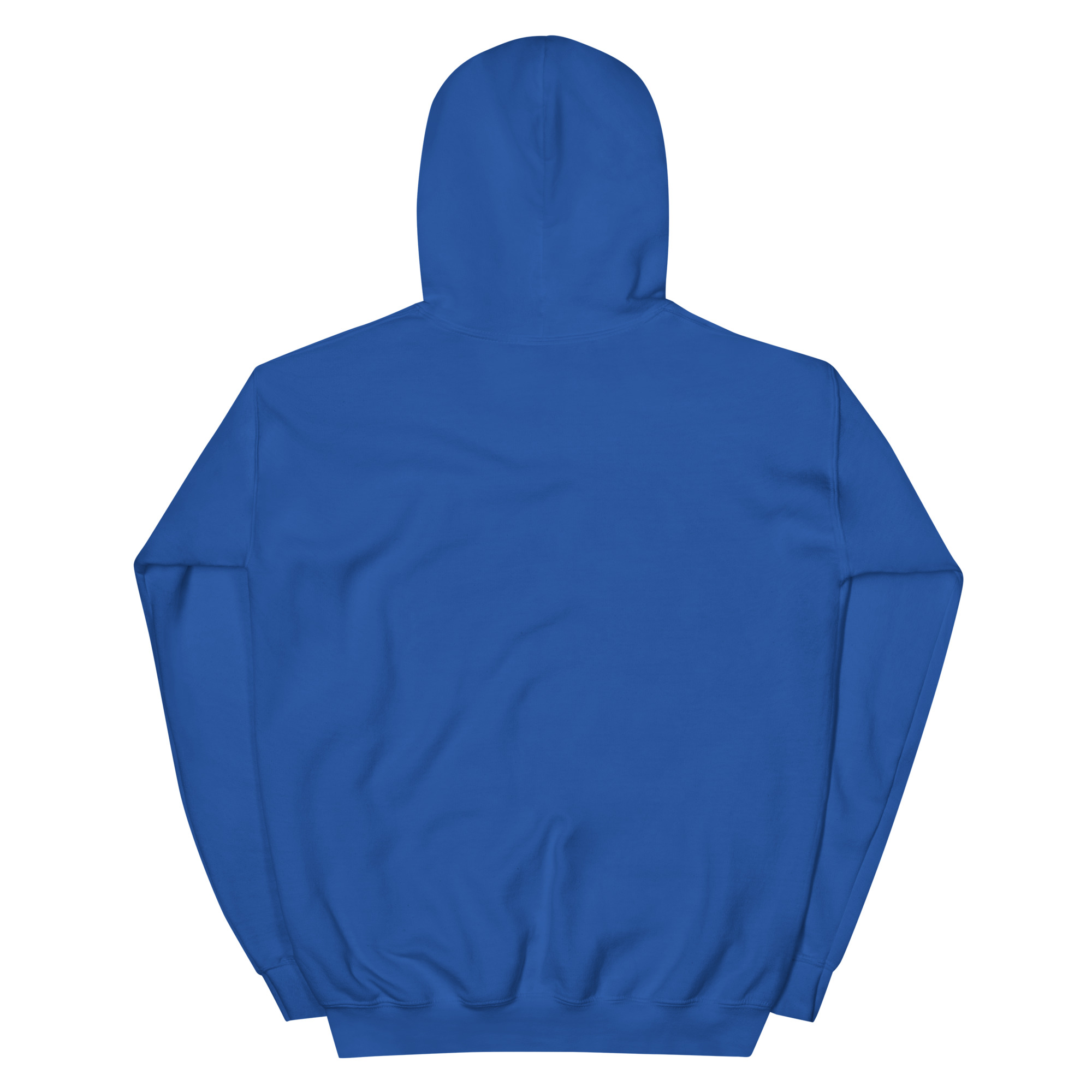 No Jay Walking OSA Unisex Hoodie - Image 14