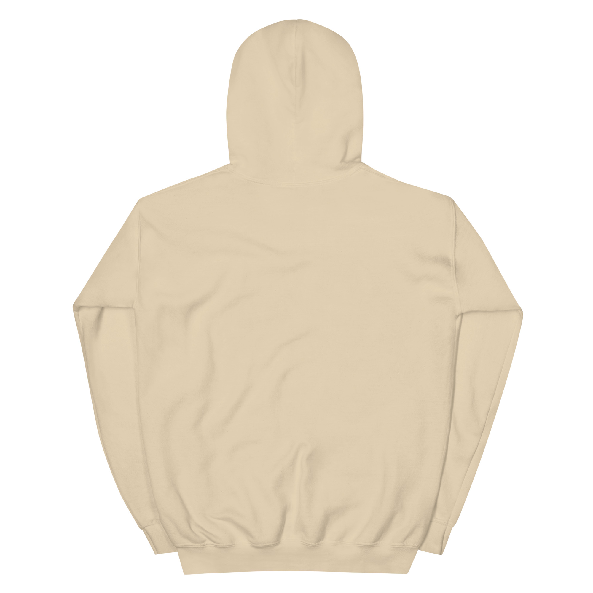 No Jay Walking OSA Unisex Hoodie - Image 28