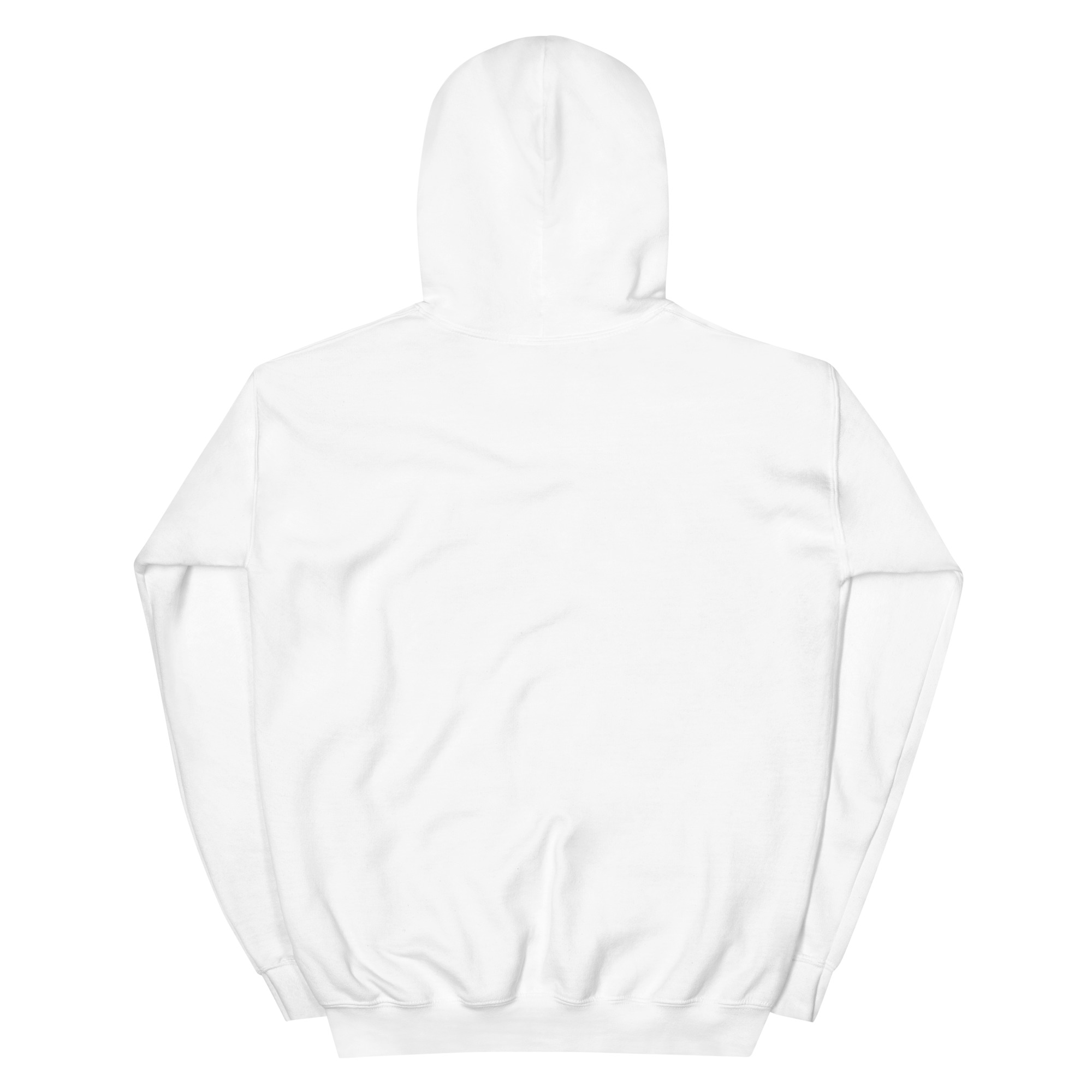 No Jay Walking OSA Unisex Hoodie - Image 32